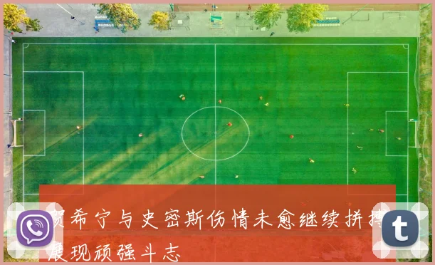 贺希宁与史密斯伤情未愈继续拼搏展现顽强斗志