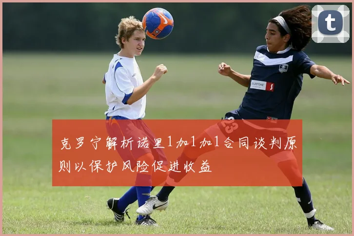 克罗宁解析诺里1加1加1合同谈判原则以保护风险促进收益
